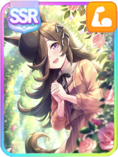 Rice Shower (Happiness Just around the Bend) Support Card