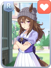 Nakayama Festa R Stamina