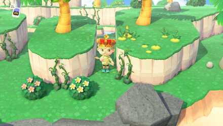 Vines and Glowing Moss Island