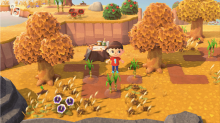 ACNH - Sugar Cane Island