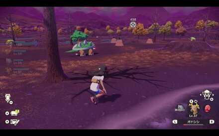 Alpha Torterra Location