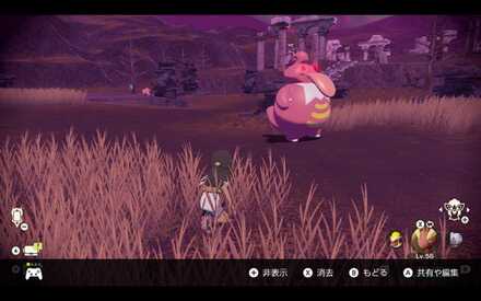 Alpha Lickilicky Location