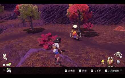 Alpha Raichu Location