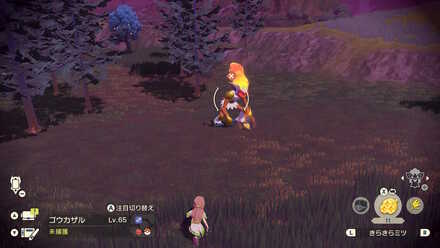 Alpha Infernape Location