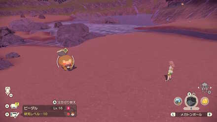 Alpha Bibarel Location