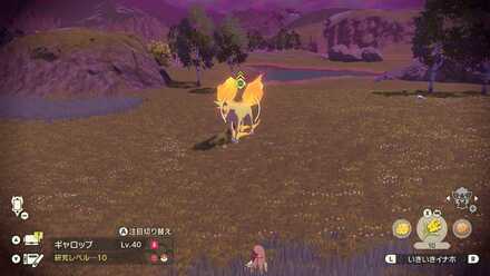 Alpha Rapidash Location