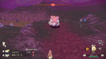 Alpha Blissey Location