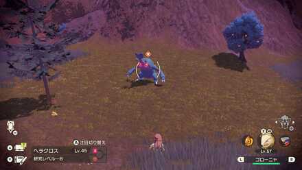 Alpha Heracross Location