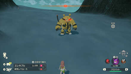 Alpha Electivire Location