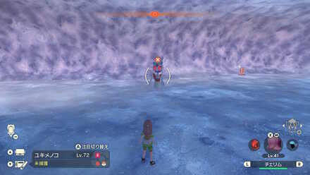 Alpha Froslass Location