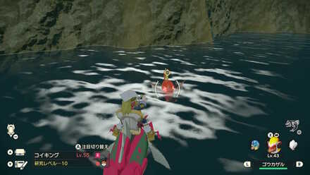 Alpha Magikarp Location