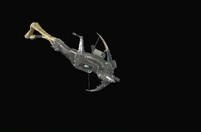 Hornet Gun Light Bowgun Image