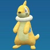 Buizel Shiny Form - Pokemon Scarlet and Violet