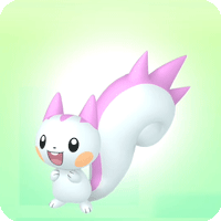 Pachirisu Image