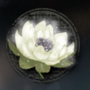 Sacred Lotus Image