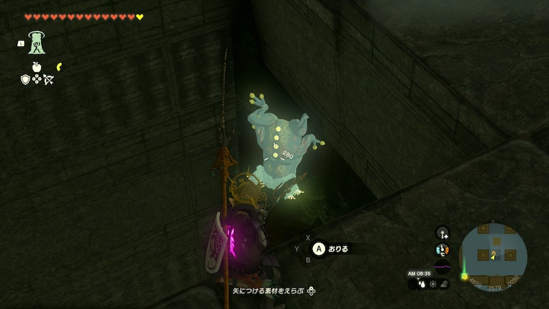 TOTK - North Akkala Beach Cave Bubbulfrog Location