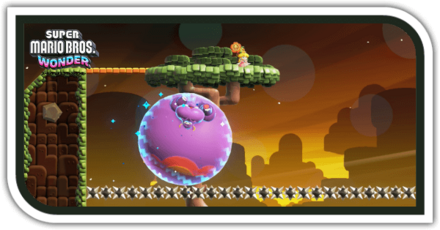 Pipe-Rock Plateau Special Bounce, Bounce, Bounce image