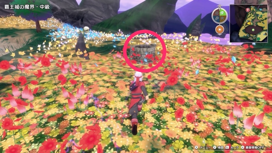 In a Well South of Dun Maulin Entrance Mini Medal Location