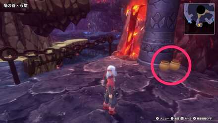 In a Pot on the 6F Mini Medal Location