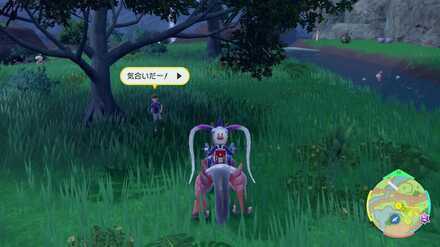 Pokemon SV Indigo Disk DLC - Nicolo the Student Location