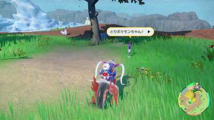 Pokemon SV Indigo Disk DLC - Annie the Student Location