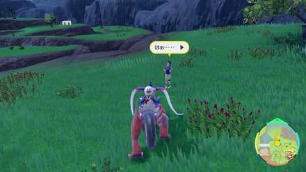 Pokemon SV Indigo Disk DLC - Daria the Student Location