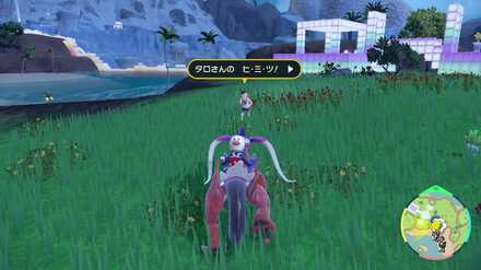 Pokemon SV Indigo Disk DLC - Satoru of the League Club Location