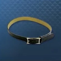 Like A Dragon Infinite Wealth - Luxurious Belt Icon