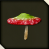 Dondoko Mushroom