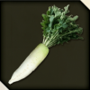 Daikon