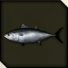 LAD IW - Tuna