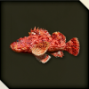 Scorpionfish