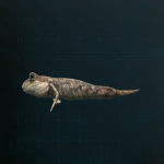 Stellar Blade -  Mudskipper