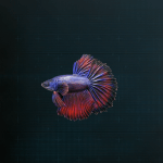 Stellar Blade -  Betta