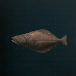 Stellar Blade -  Halibut