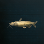 Stellar Blade -  Channel Catfish