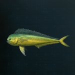 Stellar Blade -  Mahi-Mahi