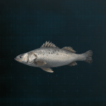 Stellar Blade -  Sea Bass