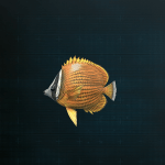 Stellar Blade -  Butterflyfish