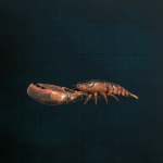 Stellar Blade -  Lobster