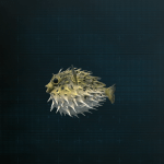 Stellar Blade -  Porcupinefish