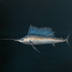 Stellar Blade -  Sailfish