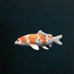 Stellar Blade -  Koi