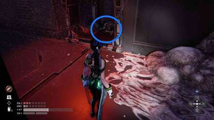 Stellar Blade - Legionnaire 719